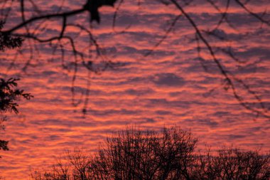 Bulutlu Gündoğumu veya Günbatımı Gökyüzü