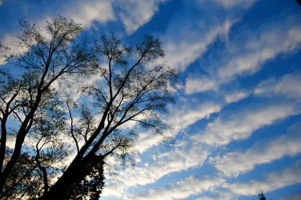 Stratocumulus Undulatus Clouds Morning — стоковое фото