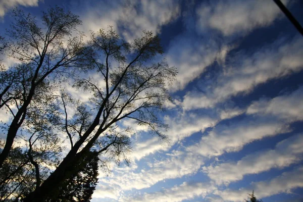 Stratocumulus Undulatus Wolken Ochtend — Stockfoto