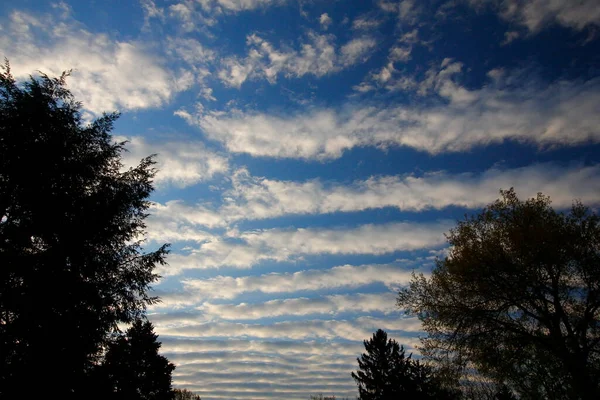 Stratocumulus Undulatus Clouds Morning — стоковое фото