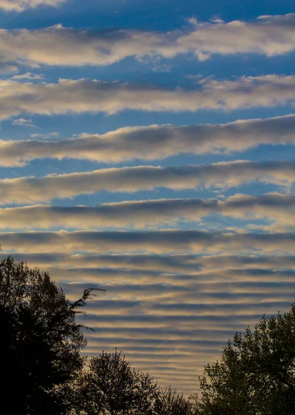 Stratocumulus Undulatus Clouds Morning — стоковое фото
