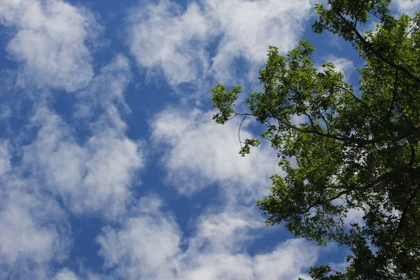 Σύννεφα Κατά Διάρκεια Μιας Μεσημεριανής Ημέρας — Φωτογραφία Αρχείου