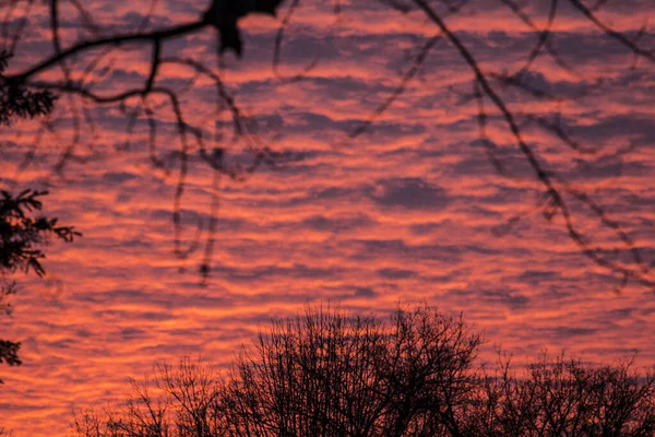 Bulutlu Gündoğumu veya Günbatımı Gökyüzü