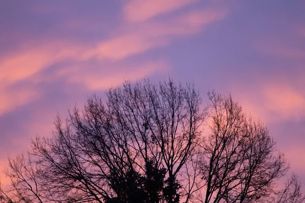 Soluppgång Eller Solnedgång Himmel Med Moln — Stockfoto