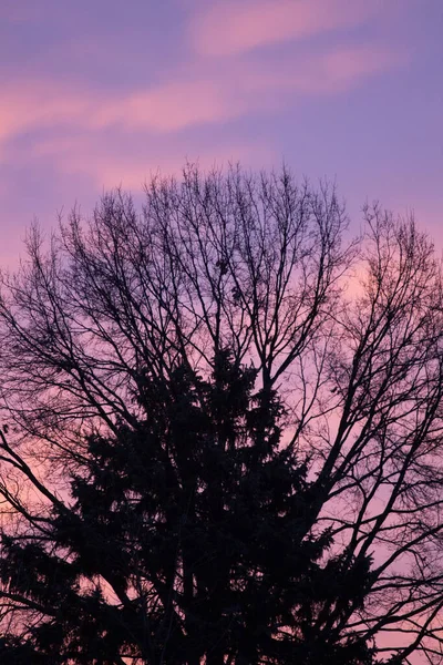 Auringonnousu Tai Auringonlasku Taivas Pilvet — kuvapankkivalokuva