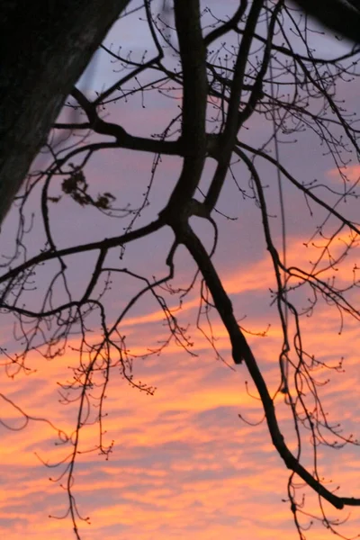 Soleil Levant Coucher Soleil Ciel Avec Nuages — Photo