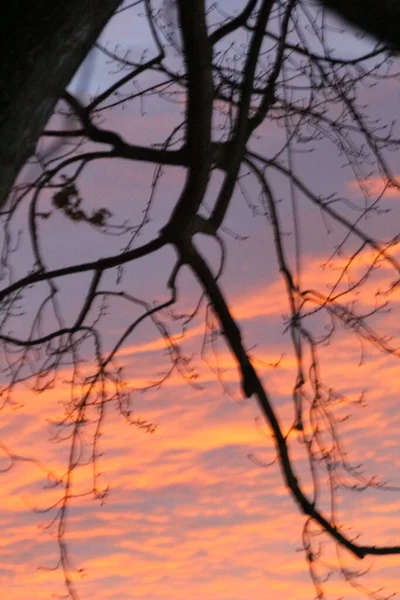 Bulutlu Gündoğumu Veya Günbatımı Gökyüzü — Stok fotoğraf