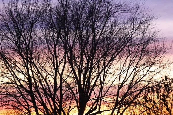 Soluppgång Eller Solnedgång Himmel Med Moln — Stockfoto