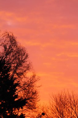 Bulutlu Gündoğumu veya Günbatımı Gökyüzü