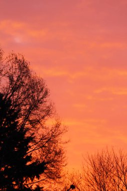 Bulutlu Gündoğumu veya Günbatımı Gökyüzü
