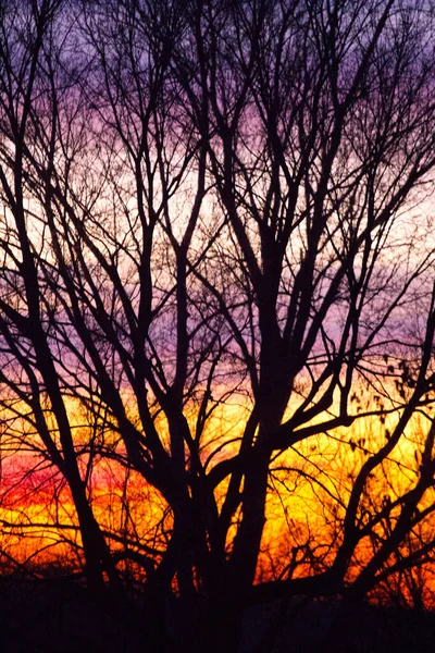 Cielo Amanecer Atardecer Con Nubes — Foto de Stock