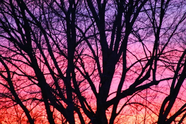 Nascer Sol Pôr Sol Céus Com Nuvens — Fotografia de Stock