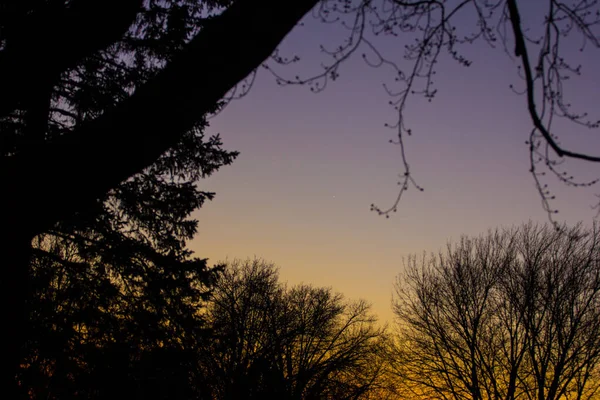 Soluppgång Eller Solnedgång Himmel Med Moln — Stockfoto