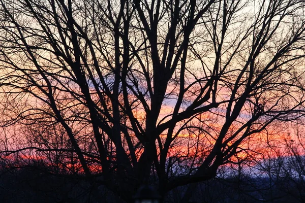 Nascer Sol Pôr Sol Céus Com Nuvens — Fotografia de Stock