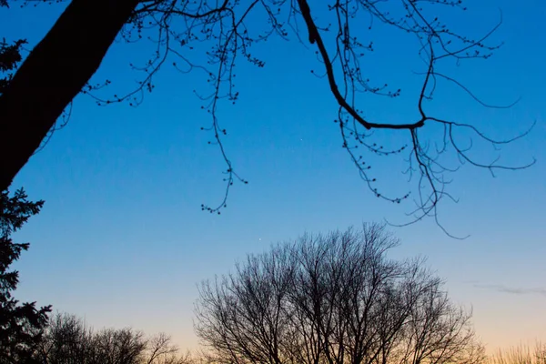 Sonnenaufgang Oder Sonnenuntergang Himmel Mit Wolken — Stockfoto