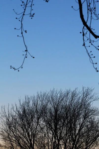 Рассвет Закат Облаках — стоковое фото