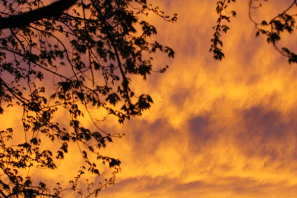 Cielo Amanecer Atardecer Con Nubes — Foto de Stock