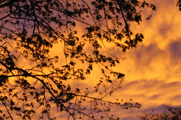 Cielo Amanecer Atardecer Con Nubes — Foto de Stock