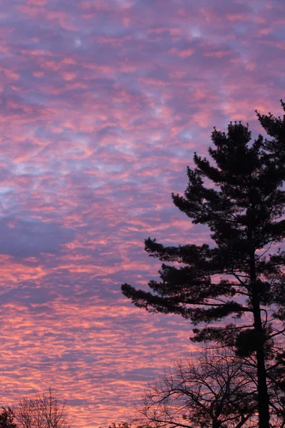 Nascer Sol Pôr Sol Céus Com Nuvens — Fotografia de Stock