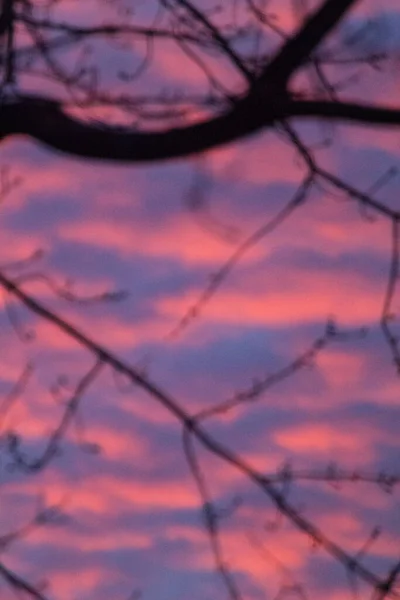 Cielo Amanecer Atardecer Con Nubes —  Fotos de Stock