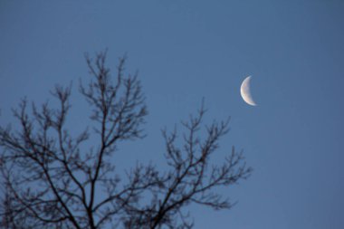Akşamın erken saatlerinde hilal ayı