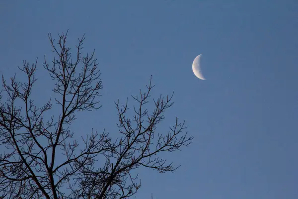 Lua Crescente Início Noite — Fotografia de Stock