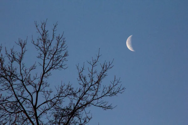 Lua Crescente Início Noite — Fotografia de Stock