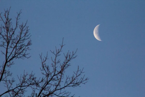 Lua Crescente Início Noite — Fotografia de Stock