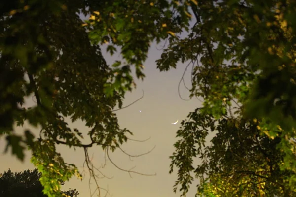 Luna Mezzaluna Nella Prima Sera — Foto Stock