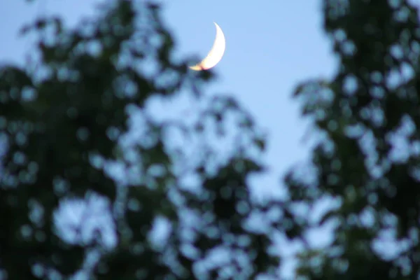 Luna Mezzaluna Nella Prima Sera — Foto Stock