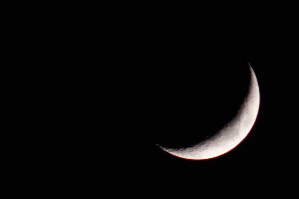 Akşamın Erken Saatlerinde Hilal Ayı — Stok fotoğraf
