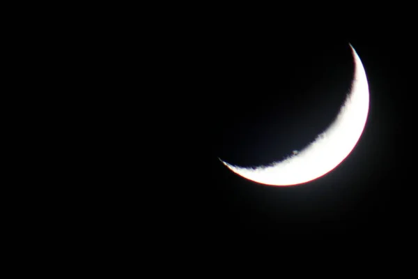 Akşamın Erken Saatlerinde Hilal Ayı — Stok fotoğraf