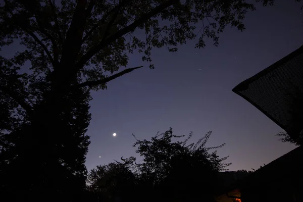 Lune Lumineuse Début Soirée Avec Des Arbres — Photo