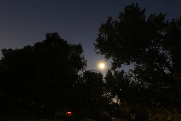 Ljus Måne Tidig Kväll Med Träd — Stockfoto