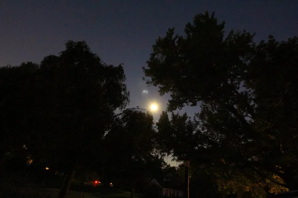 Lua Brilhante Início Noite Com Árvores — Fotografia de Stock