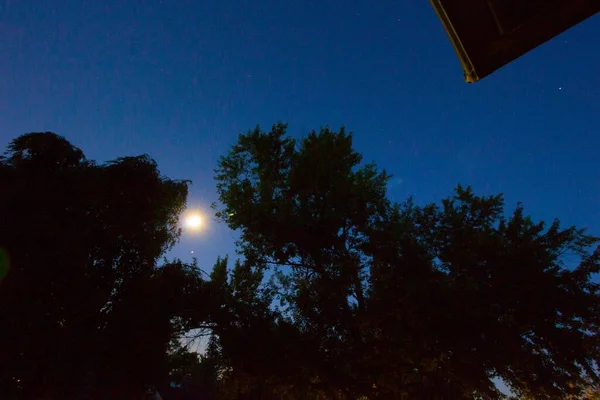 Gecenin Erken Saatlerinde Ağaçlarla Parlak — Stok fotoğraf