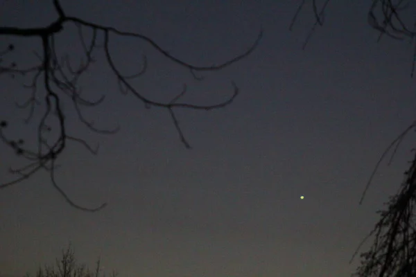 Luna Mercurio Incorniciati Dagli Alberi — Foto Stock