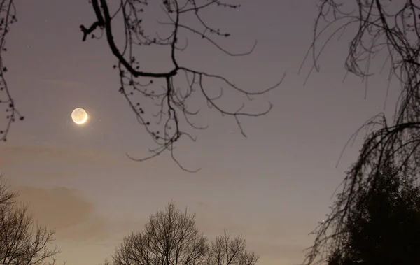 Maan Mercurius Omlijst Door Bomen — Stockfoto