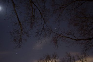 Gökyüzündeki Orion Takımyıldızı