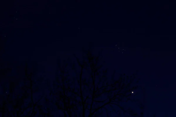 Σμήνος Αστεριών Pleiades Επτά Αδελφές — Φωτογραφία Αρχείου