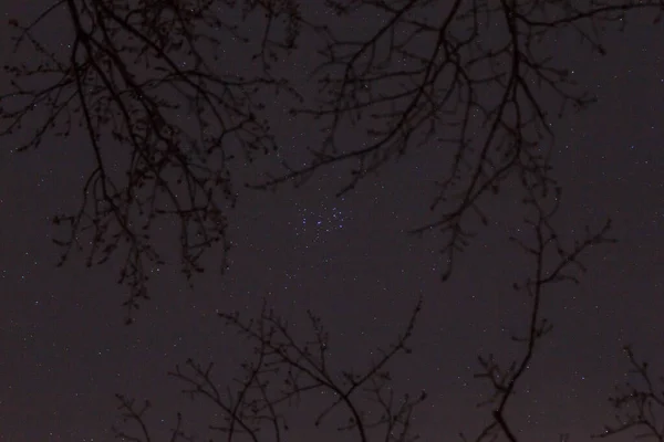 Pleiades Siete Hermanas Star Cluster — Foto de Stock