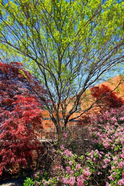 Bir botanik bahçesine açık hava görüntüsü