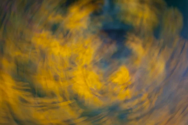 Взгляды Черноглазых Цветов Сьюзен — стоковое фото