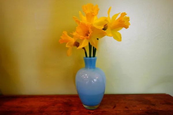 Uitzicht Kleurrijke Narcissen Bloemen — Stockfoto