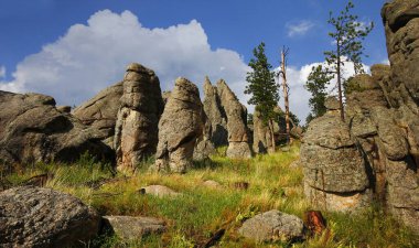 Güney Dakota, Yazın Needles Otobanından Görüntüler
