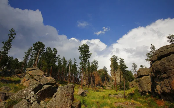 Vista Dalla Needles Highway Estate Dakota Del Sud — Foto Stock