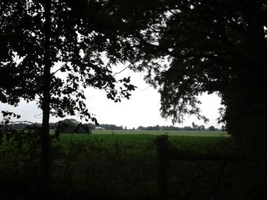 Yazın Ağaçlarla Çerçevelenmiş Tarlalar, Ohio