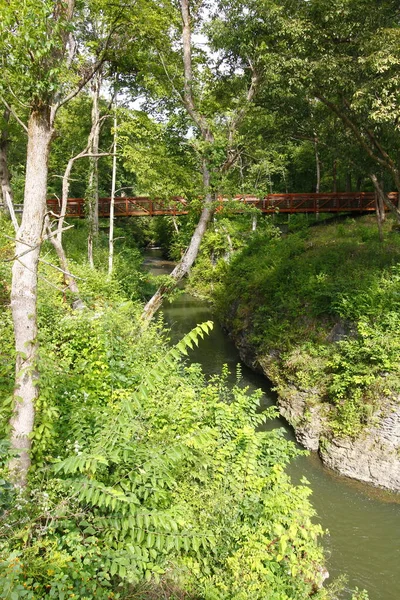 Gorge Ruisseau Massie Cedarville Ohio — Photo