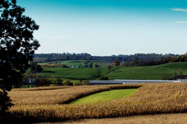 Sonbaharın başlarında, Holmes County, Ohio 'da Rolling Hills of a Kırsal Peyzaj