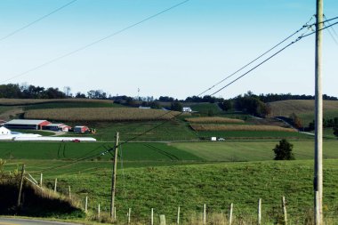 Sonbaharda Holmes County, Ohio 'da kırsal araziler